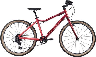 ACADEMY grade 5 funtasy children's bike