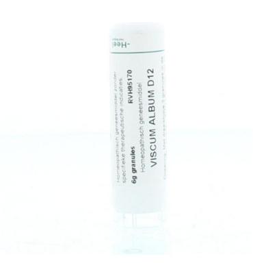 Homeoden Heel Viscum album D12 6 Gram Homeoden Heel Viscum album D12 6 Gram