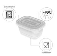 ROTHO Freeze - diepvriesbakje - 6x250ml - thumbnail