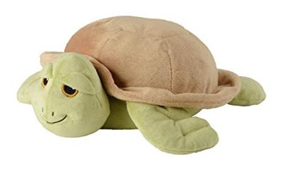 Zeeschildpad