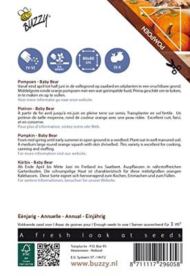 Zaden Ornamental Wintersquash Baby Bear Buzzy - Buzzy Zaden Ornamental Wintersquash Baby Bear Buzzy - Buzzy