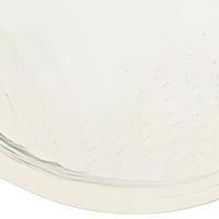 Coming Soon Richtingaanwijzer glas turn signal cap vicma front right , 8346 - thumbnail