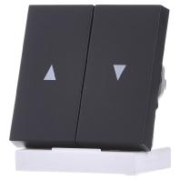 Gira wip met pijlen E2 antraciet