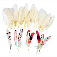 Colorations natuurlijke witte veren, 48st. - thumbnail