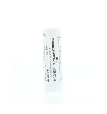 Homeoden Heel Magnesium phosphoricum 12K 6 Gram