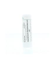Homeoden Heel Magnesium phosphoricum 12K 6 Gram - thumbnail