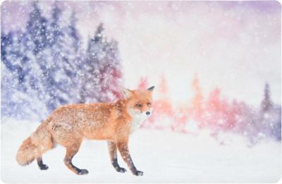 H&S collection deurmat kerst winter 58 cm 4 assorti | 24 stuks