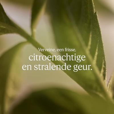 L'Occitane Verveine Agrumes Gel Douche Refill 500ml