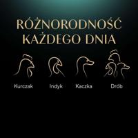 SHEBA Nature's Collection Poultry Flavors in jelly - nat kattenvoer - 40 x 85g - thumbnail