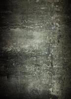 Bresser BR-L 655 Achtergrond 180x250cm - thumbnail