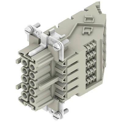 Weidmüller 1848610000 Businzetstuk 10 Schroeven 10 stuk(s)