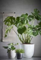 Bloempot Pot rond es/15 tusca 16 x 17 cm wit Mica - Mica decorations - thumbnail