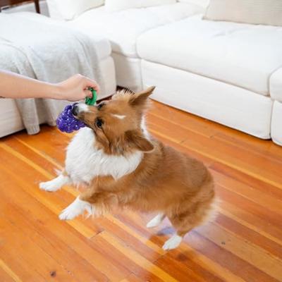 Outward Hound Dental Grapes