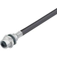 binder 70 3482 287 08-20 Sensor/actuator connector, niet geassembleerd Aantal polen (sensoren): 8 Bus, recht, Flensbus 0.5 m 1 stuk(s) - thumbnail
