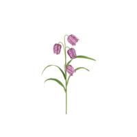Kunstbloem Fritillaria M paars H57cm - thumbnail