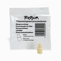 EIKENPROCESSIERUPS FEROMOON | Thaumetopoea processionea - thumbnail