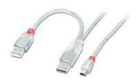 LINDY 31785 - USB 2.0 Dual Power Y-kabel - 2 x Type A Mannelijk naar Type Mini-B Plug - 2m - thumbnail