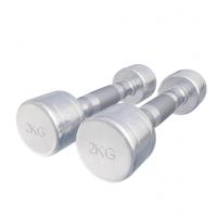 Dumbellset 4 kg (2 x 2 kg) Chroom - thumbnail