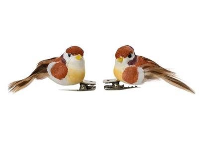4 vogels op clip bruin