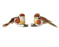 4 vogels op clip bruin - thumbnail