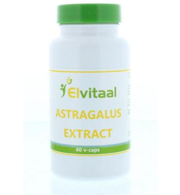 Elvitum Astragalus extract 500mg 60 Capsules Elvitum Astragalus extract 500mg 60 Capsules