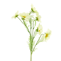 Cosmos Bibi cream 77 cm kunstbloem Erutan Avon - Erutan avon - thumbnail