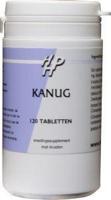 Holisan Kanug Tabletten 120st - thumbnail