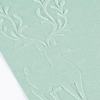 Vaessen Creative • embossing folder rendier - thumbnail