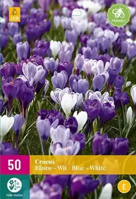 Crocus blauw & wit 30 bollen