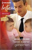 Twee kleine geheimen - Michelle Celmer - ebook - thumbnail