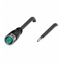 Pepperl+Fuchs 240004-100031 Sensor/actuator connector, geassembleerd Aantal polen (sensoren): 4 2 m 1 stuk(s) - thumbnail