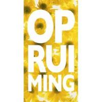 Raambiljet thema OPRUIMING 50x94cm zonne - thumbnail