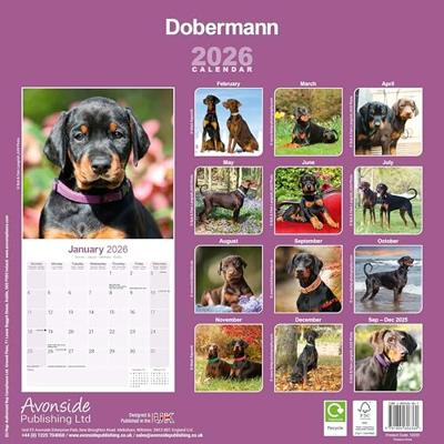 Dobermann Kalender 2026 Dobermann Kalender 2026