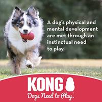 Kong Puppy Ball met Hole Natural Rubber Formula Chewable Dog Toy Medium Large - thumbnail