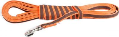 Lange lijn hond - Antislip - 20mm x 10m - Met handvat - Oranje