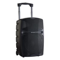 Audiophony AUDIOPHONY RACER 250 F5 accu speaker - thumbnail