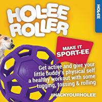 JW HOL-EE ROLLER ASSORTI - thumbnail