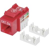 Intellinet 210478 RJ45-inbouwmodule Keystone CAT 5e 1 stuk(s) - thumbnail