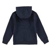 Sweater met capuchon Batwing Screenprint LEVI'S¨ blauw - thumbnail