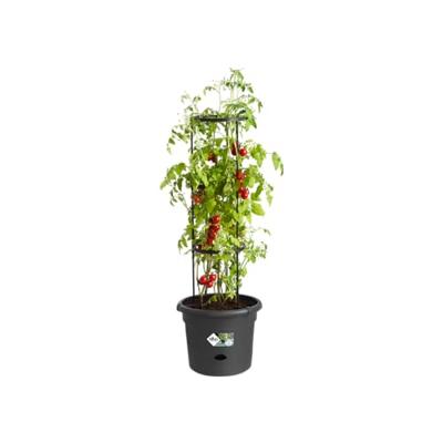 Vaso per pomodori ELHO Green Basics - 33 cm - Nero brillante
