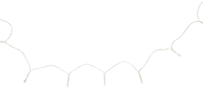 HEMA Lichtsnoer 2.1m met 20 LED lampjes voor binnen (wit)