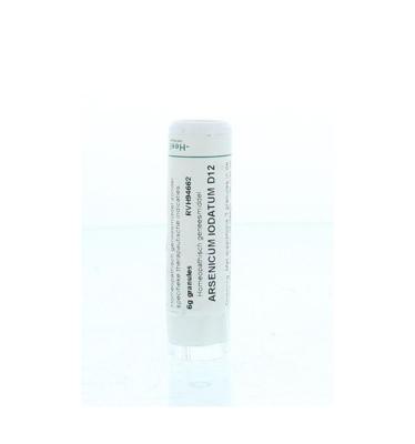 Homeoden Heel Arsenicum iodatum D12 6 Gram Homeoden Heel Arsenicum iodatum D12 6 Gram