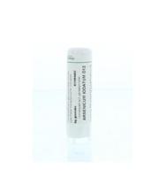 Homeoden Heel Arsenicum iodatum D12 6 Gram - thumbnail