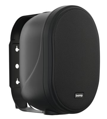 Apart OVO5T-BL Ovale 100 volt 30W 5,25 inch design luidspreker zwart