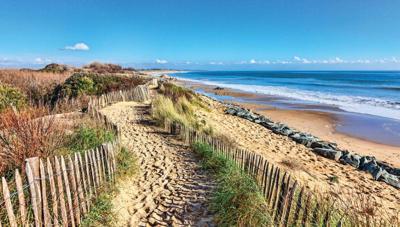 Zeegras 130x70cm Tuinschilderij Customize-it - Customize it