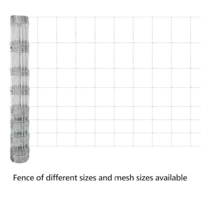 VidaXL Wilde hek warm verzinkt 1000 x 100 x 0,18 cm ijzer
