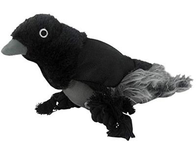 Wild Life Dog Raven (Raaf)