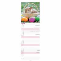 Konijnen Kalender Slimline 2026 - thumbnail