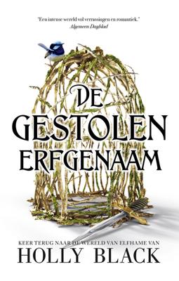 De gestolen erfgenaam - Holly Black - ebook