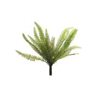 Nephrolepis Boston green 40 cm kunstplant Erutan Avon - Erutan avon - thumbnail